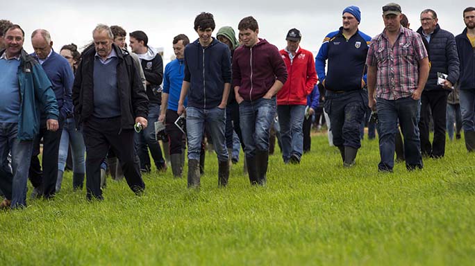 irish dairy farmers