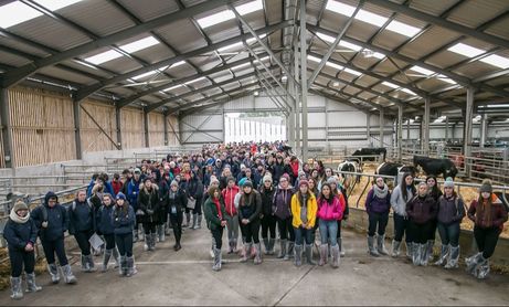 Irish Farming Community