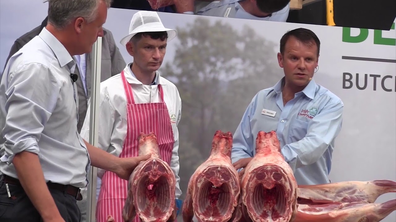 carcase of 4 irish sheep on display